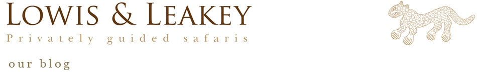 Lowis & Leakey | Reflections