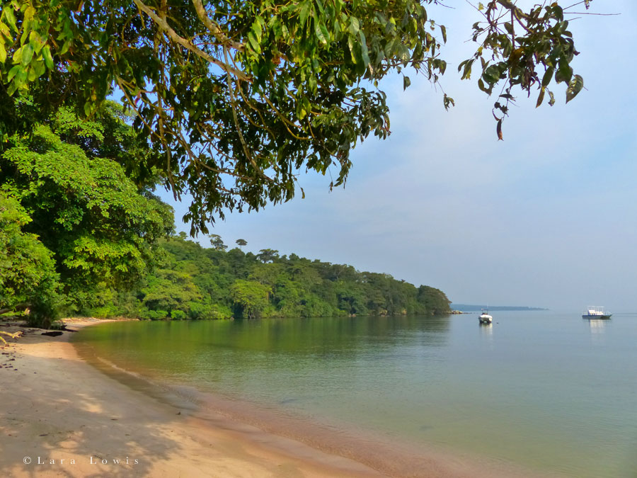 Rubondo Island Camp